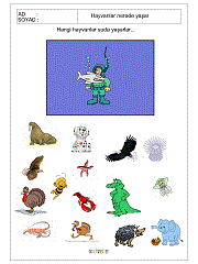 Hayvanlar Nerede Yaşarlar